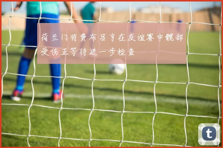 荷兰门将费布吕亨在友谊赛中髋部受伤正等待进一步检查